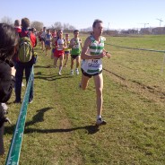 Bons resultats a la Mitja de Gavà