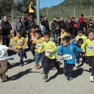 Segona jornada del XIIè Campionat Escolar D’Atletisme