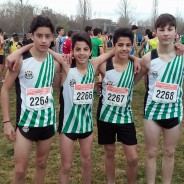 Control Cadet-Juvenil en Pista Coberta + 96è Ct de Catalunya de Cros Individual i de Clubs+ Edreams Mitja Marató de Barcelona