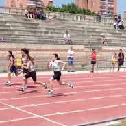 Control Benjamí-Aleví-Infantil (9. Jornada) + Control Cadet-Juvenil-Júnior (6a. Jornada) + Cursa Ecològica de Molins de Rei