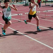 Jornada Prèvia Ct de Catalunya Benjamí, Aleví i Infantil + Controls de Pista, Proves de Ruta, Curses de Muntanya i VIII Cronescalada a Puigventós