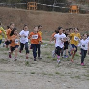 XVI Cros Escolar d’Olesà de Montserrat – 4rt OPEN Olesà de Cros
